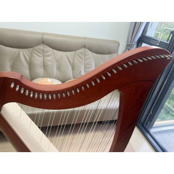 SOLD - 2nd Hand Salvi Mia 34 Strings Lever Harp